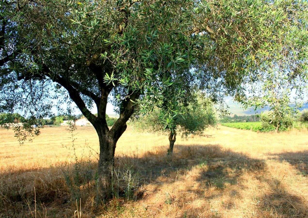 Da Pina Farm stay Porto Conte