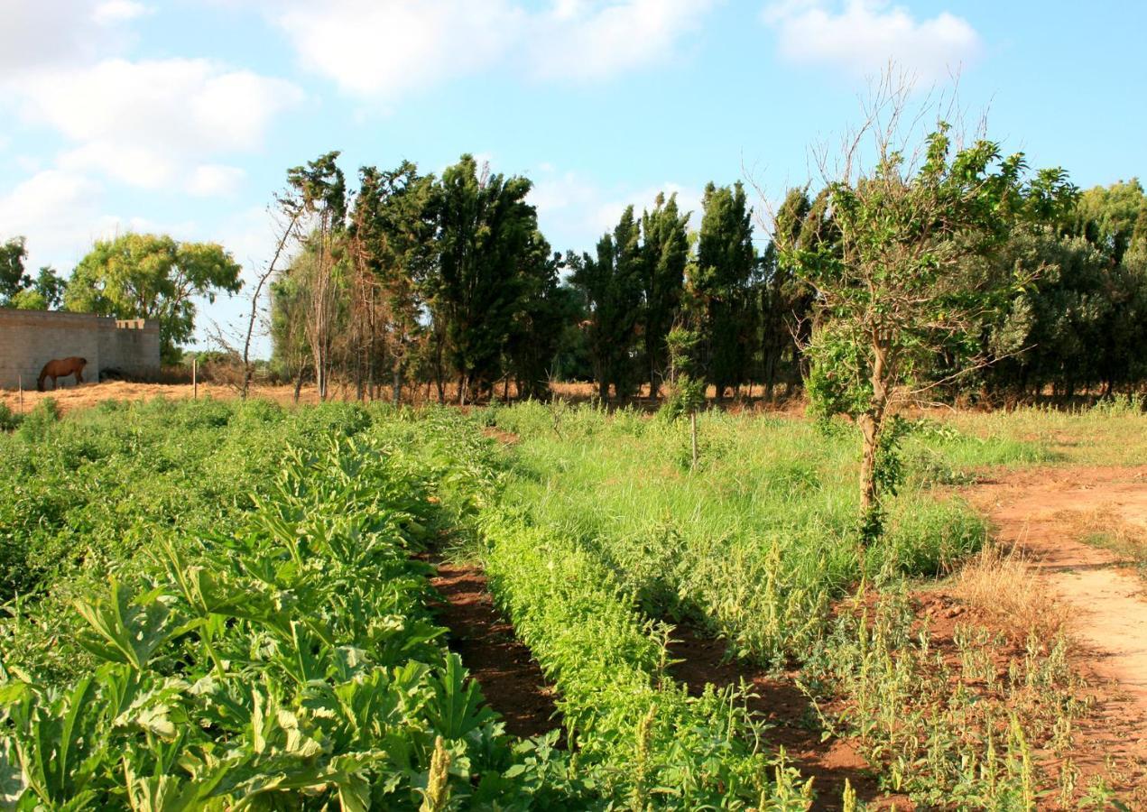 Farm stay Da Pina Porto Conte